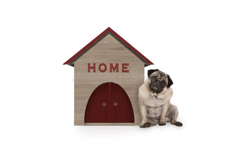 Unverschämtes Pughündchen, das sich nahe bei Hundehütte mit Zeichen Haus hinsetzt stockfotografie Unverschämtes Pughündchen, das sich nahe bei Hundehütte mit Zeichen Haus hinsetzt stockfotografie