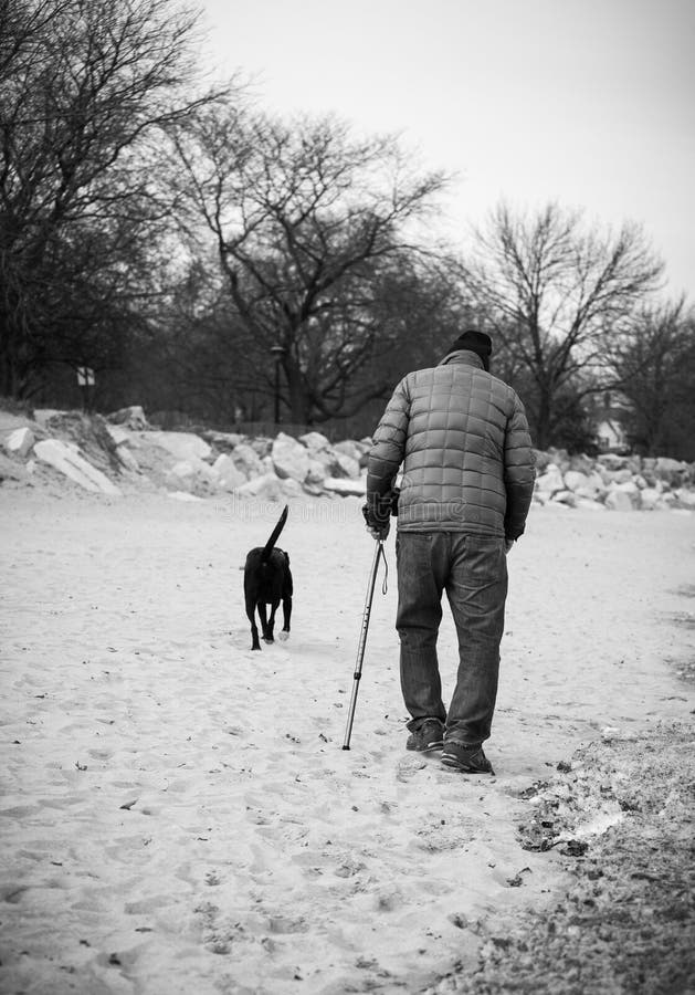 Uomo anziano che cammina con il suo cane su una spiaggia immagine stock Uomo anziano che cammina con il suo cane su una spiaggia immagine stock