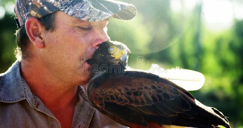 Uomo che bacia falco un giorno soleggiato