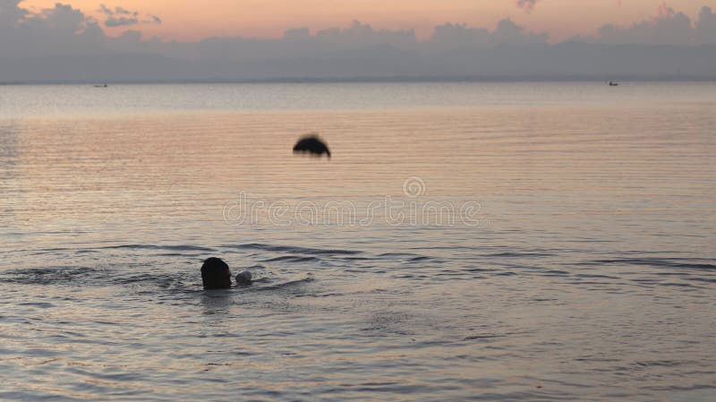 Uomo che nuota nel lago nel pomeriggio fotografia stock libera da diritti