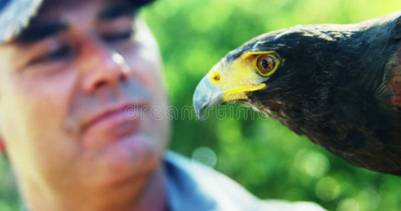 Uomo con l'aquila del falco un giorno soleggiato