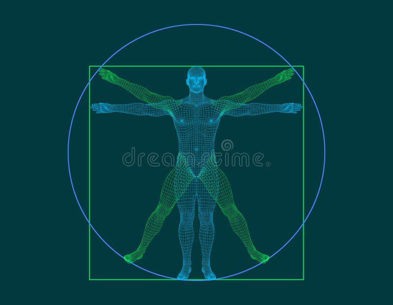 Uomo di Vitruvian Corpo umano di Wireframe Illustrazione del profilo di vettore royalty illustrazione gratis