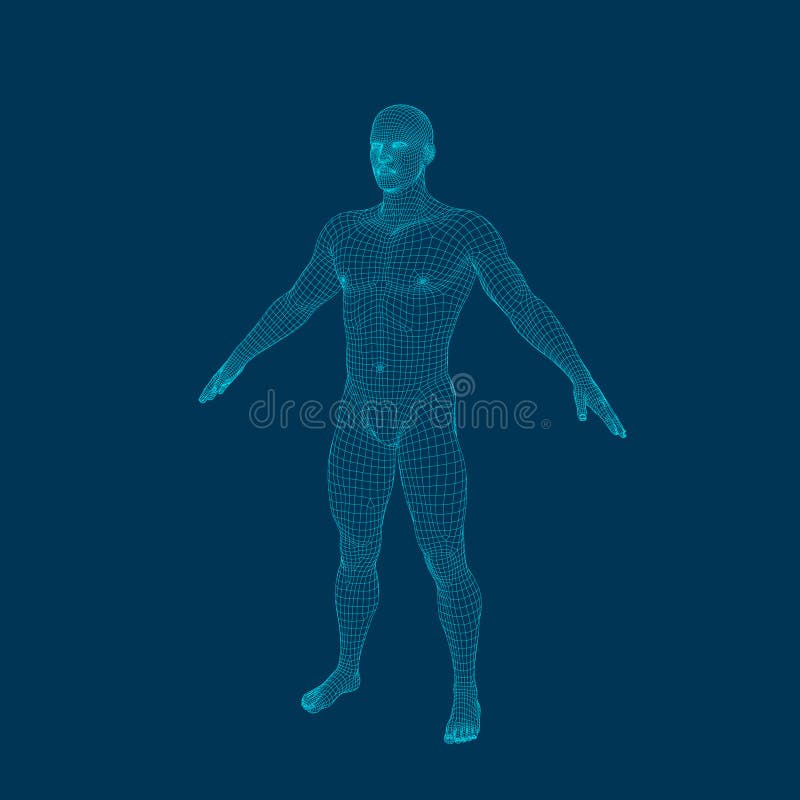 Uomo diritto Corpo umano di Wireframe Illustrazione del profilo di vettore illustrazione di stock