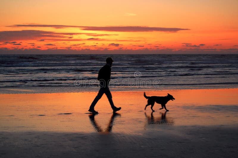 Uomo e cane che camminano al tramonto