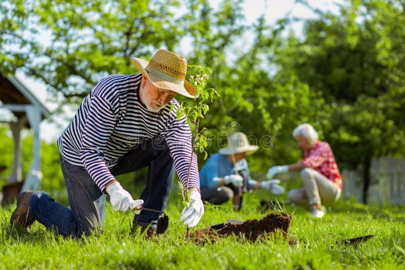 Uomo facendo uso dell'attrezzatura di giardinaggio mentre lavorando nel giardino immagini stock libere da diritti Uomo facendo uso dell'attrezzatura di giardinaggio mentre lavorando nel giardino immagini stock libere da diritti