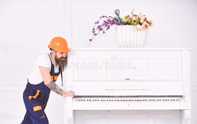 Uomo forte sorridente con la barba alla moda e baffi che provano a muovere vecchio piano di legno con il vaso di fiore Lavoratore fotografia stock libera da diritti Uomo forte sorridente con la barba alla moda e baffi che provano a muovere vecchio piano di legno con il vaso di fiore Lavoratore fotografia stock libera da diritti