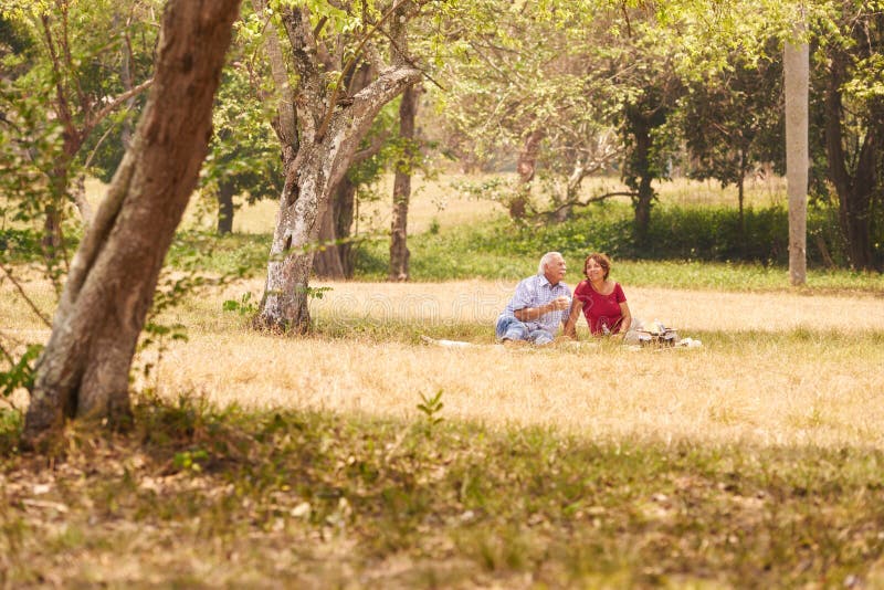 Uomo senior e donna delle coppie senior che fanno picnic immagine stock libera da diritti Uomo senior e donna delle coppie senior che fanno picnic immagine stock libera da diritti
