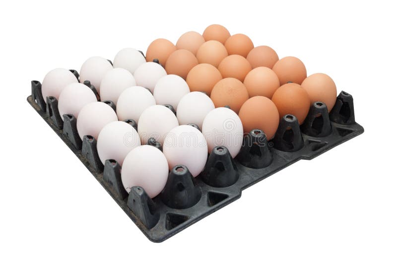 Uova del pollo ed uova dell'anatra su fondo bianco fotografia stock Uova del pollo ed uova dell'anatra su fondo bianco fotografia stock