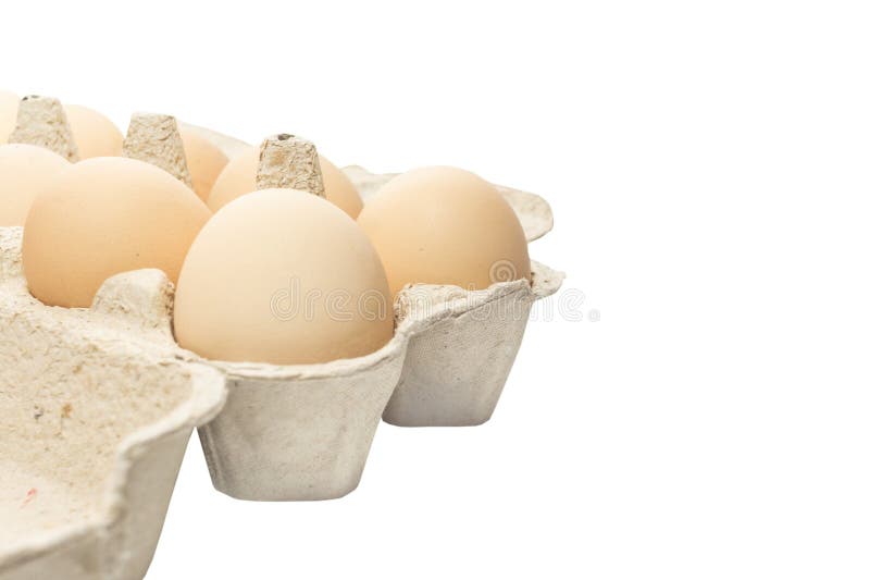 Uova di gallina gregge di colore marrone chiaro in confezioni isolate su fondo bianco fotografia stock