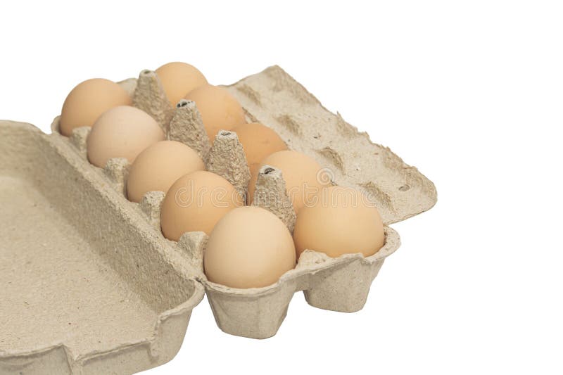 Uova di gallina gregge di colore marrone chiaro in confezioni isolate su fondo bianco fotografia stock