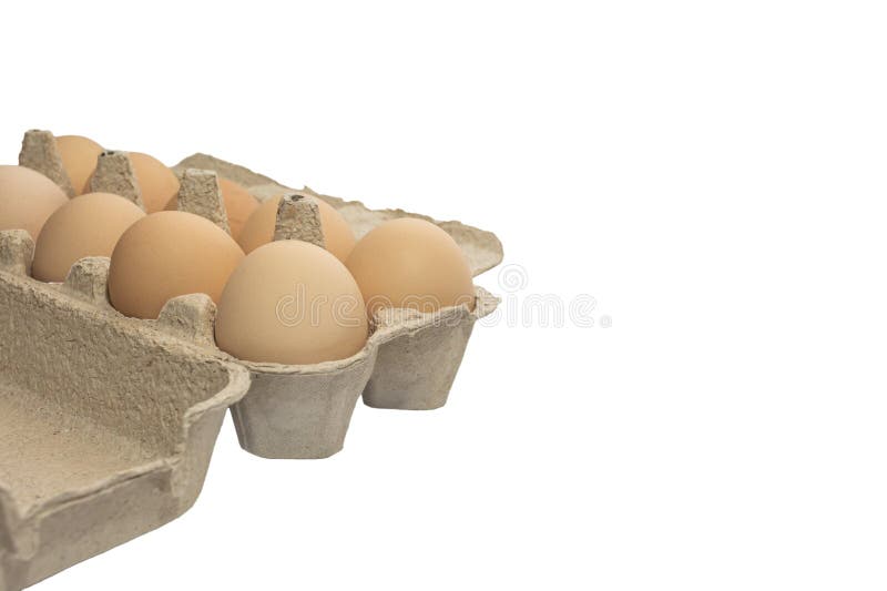 Uova di gallina gregge di colore marrone chiaro in confezioni isolate su fondo bianco fotografie stock libere da diritti