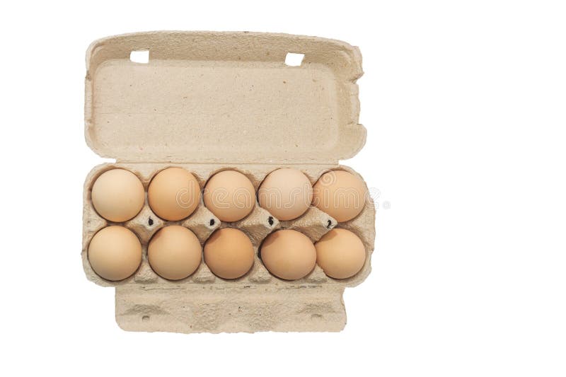 Uova di gallina gregge di colore marrone chiaro in confezioni isolate su fondo bianco