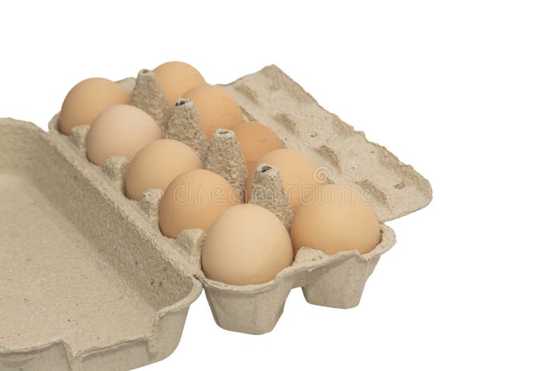 Uova di gallina gregge di colore marrone chiaro in confezioni isolate su fondo bianco immagini stock