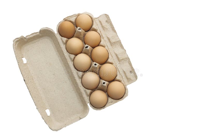 Uova di gallina gregge di colore marrone chiaro in confezioni isolate su fondo bianco fotografie stock