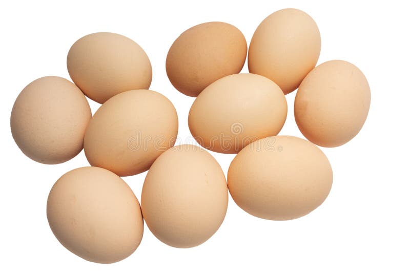 Uova di gallina gregge di colore marrone chiaro isolate su fondo bianco fotografia stock libera da diritti