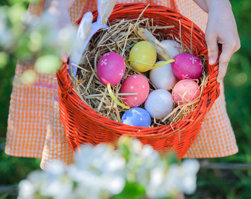 Uova di Pasqua del canestro immagini stock
