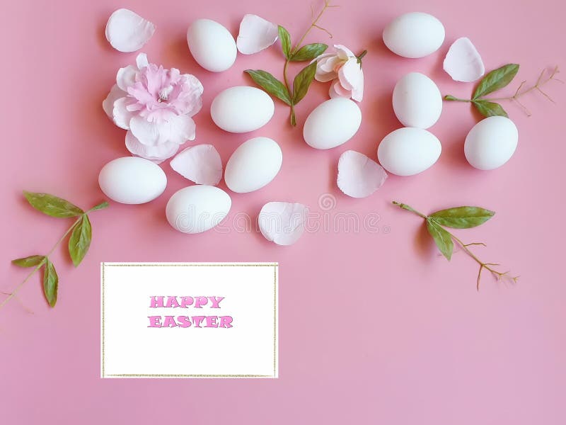 Uova di Pasqua felici bianche con il petalo di rose su fondo rosa immagini stock libere da diritti Uova di Pasqua felici bianche con il petalo di rose su fondo rosa immagini stock libere da diritti