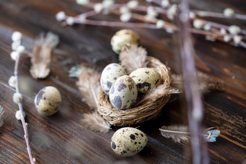 Uova di quaglia, piume, rami del salice su una tavola di legno Effetto d'annata immagini stock Uova di quaglia, piume, rami del salice su una tavola di legno Effetto d'annata immagini stock