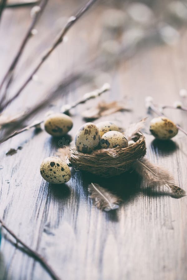 Uova di quaglia, piume, rami del salice su una tavola di legno Effetto d'annata immagini stock libere da diritti Uova di quaglia, piume, rami del salice su una tavola di legno Effetto d'annata immagini stock libere da diritti