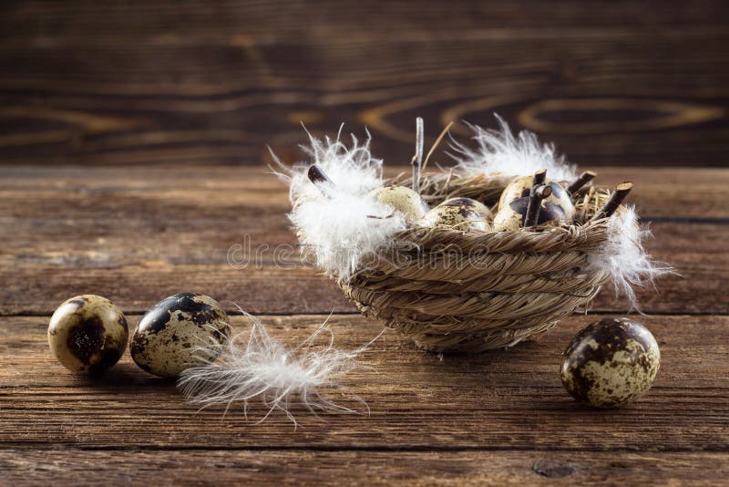 Uova di quaglie in un nido immagini stock libere da diritti Uova di quaglie in un nido immagini stock libere da diritti