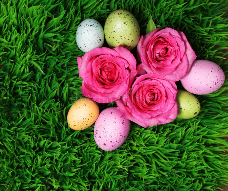 Uovo di Pasqua variopinto e rose rosa su erba verde