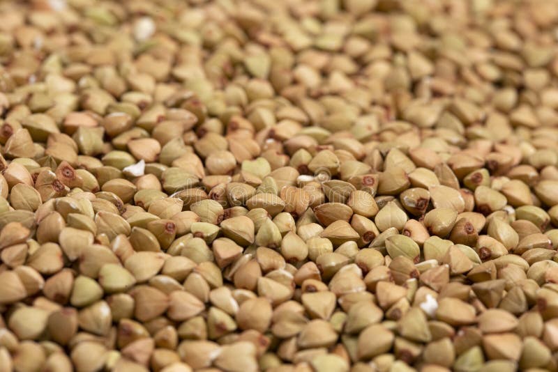 Up Close Background of Buckwheat Grain royalty free stock photo