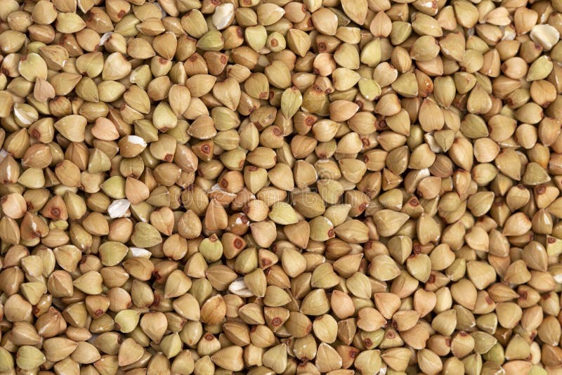 Up Close Background of Buckwheat Grain royalty free stock image