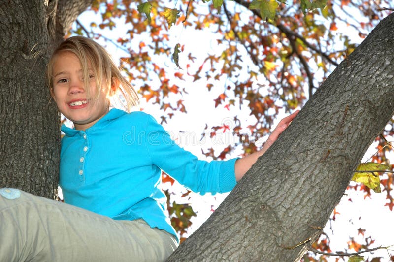 Up in a tree