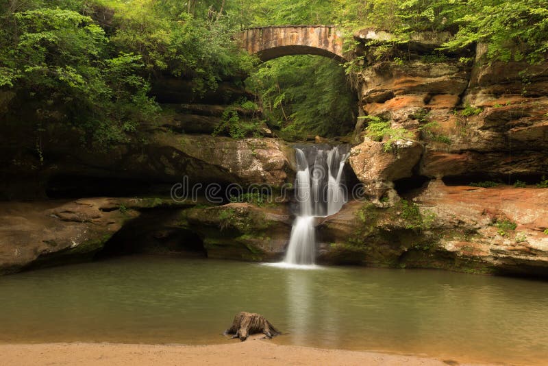 Tree stump at Upper Falls at Old Man's Cave, Hocking Hills State Park, Ohio.