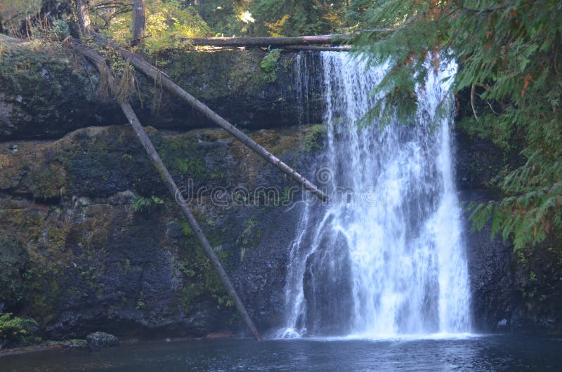 Upper North Falls, Silver Falls State Park, Oregon royalty free stock photography Upper North Falls, Silver Falls State Park, Oregon royalty free stock photography
