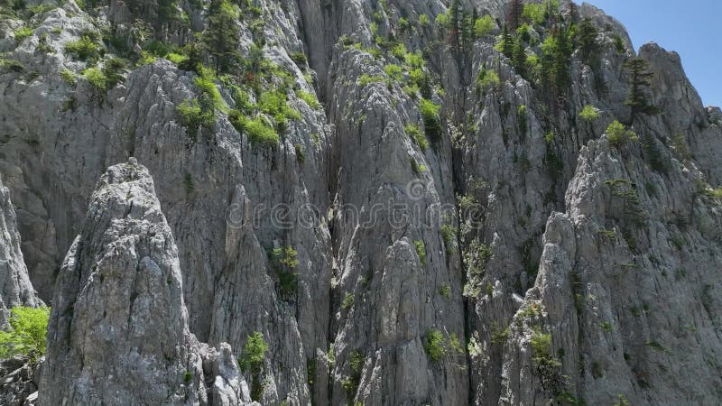 Upphöjda spår : Bilder från luften av människor som upptäcker bergsskogens skönhet genom sport och vandring