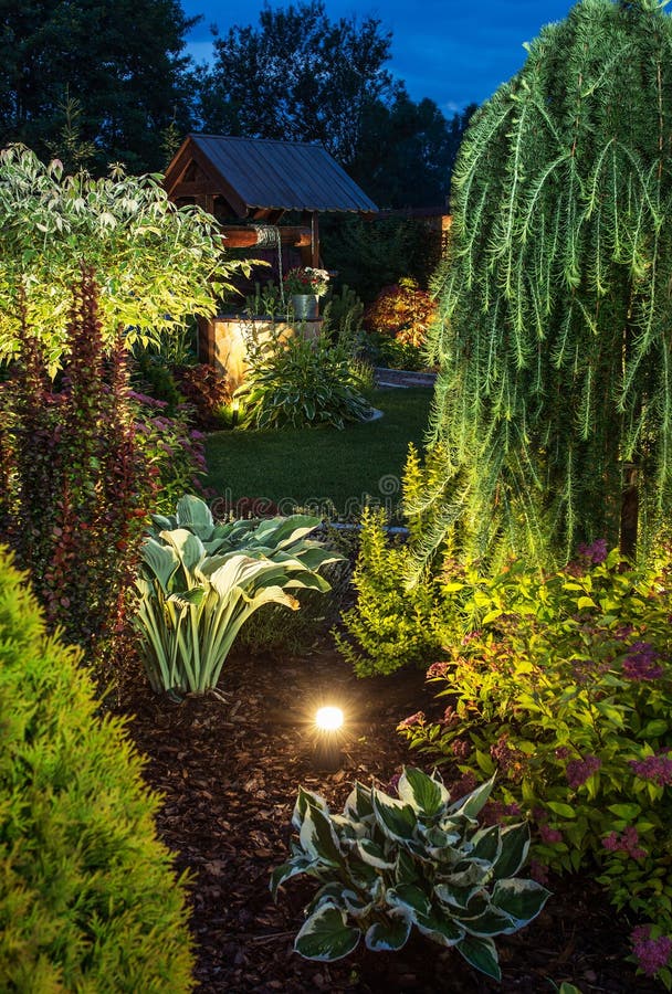 Upplyst trädgård på natten