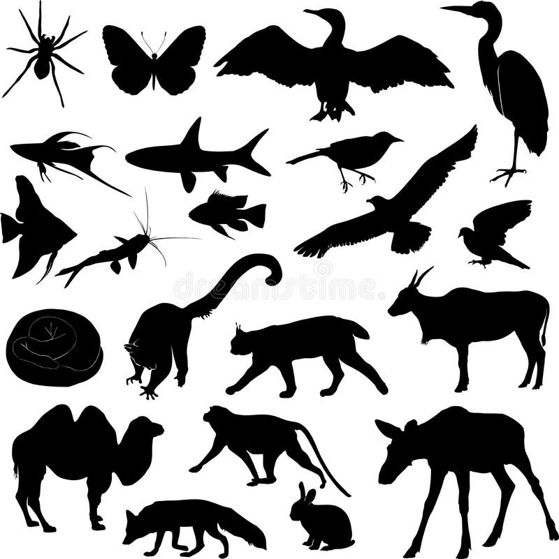 Uppsättning av djura konturer royaltyfri illustrationer Uppsättning av djura konturer royaltyfri illustrationer