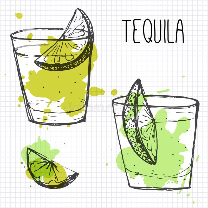 Uppsättning av två coctailskott med limefruktsegment. Skissa och vattenfärgilustrationen vektor illustrationer