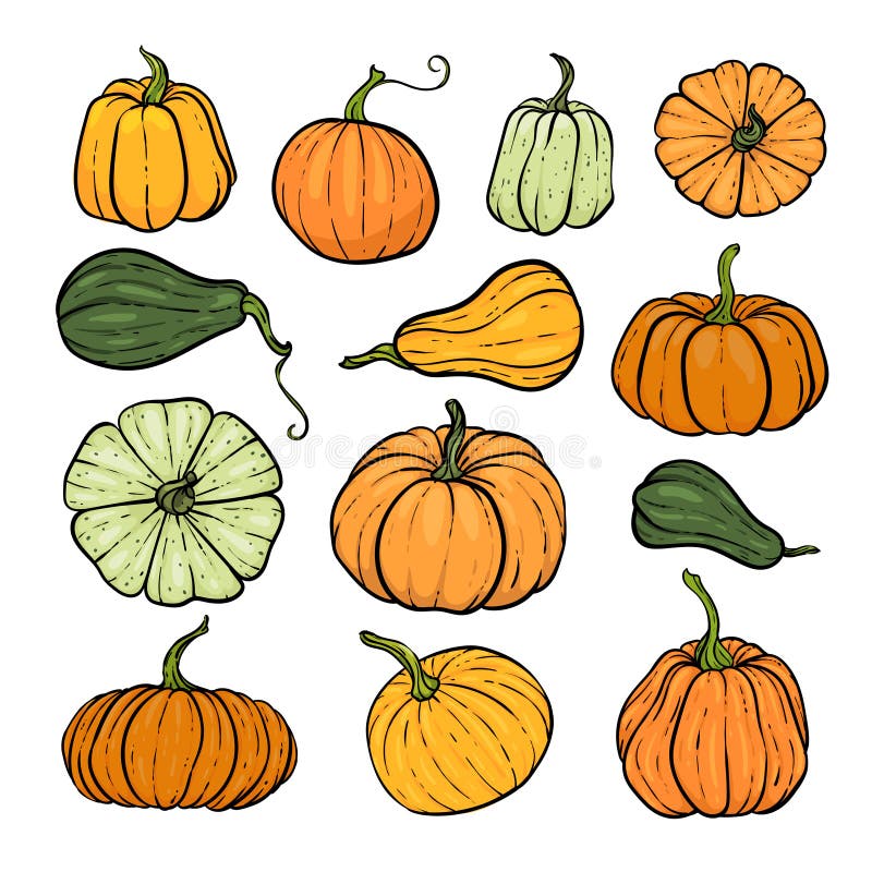 Uppsättning dekorativa orangefärgade och gröna pumpor Översikt över handritad skiss av vektorhösten Tanksgiving-dagen, halloween vektor illustrationer