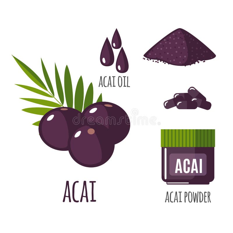 Uppsättning för Superfood acaibär i plan stil royaltyfri illustrationer Uppsättning för Superfood acaibär i plan stil royaltyfri illustrationer