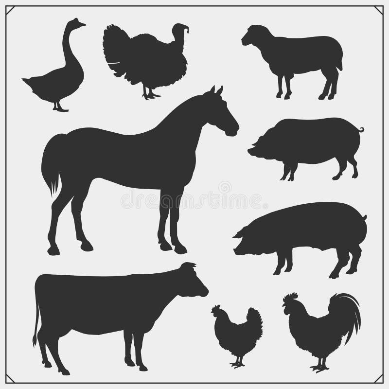 Uppsättning för symboler för vektor för lantgårddjur stock illustrationer Uppsättning för symboler för vektor för lantgårddjur stock illustrationer