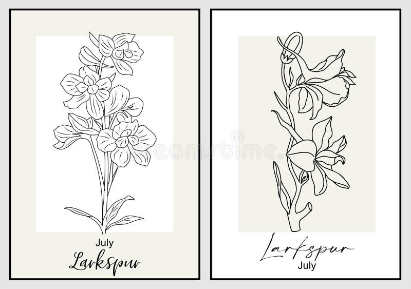 Uppsättning vektorritningar av larkspur-blommans linje. vektor illustrationer
