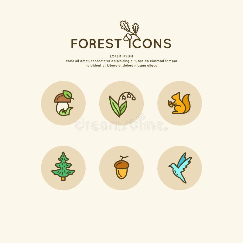 Uppsättningen av den linjära skogen av symboler och illustrationer Djur och växter stock illustrationer Uppsättningen av den linjära skogen av symboler och illustrationer Djur och växter stock illustrationer