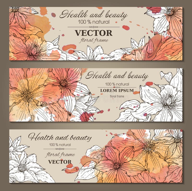 Uppsättningen av tre horisontalbaner med härliga klematiers blommar royaltyfri illustrationer Uppsättningen av tre horisontalbaner med härliga klematiers blommar royaltyfri illustrationer
