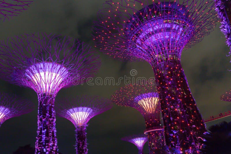 UPRAWIA OGRÓDEK PODPALANYM, SINGAPUR/, 30 2018 APR - widok Supertree punkt zwrotny przy nocą zdjęcia stock UPRAWIA OGRÓDEK PODPALANYM, SINGAPUR/, 30 2018 APR - widok Supertree punkt zwrotny przy nocą zdjęcia stock