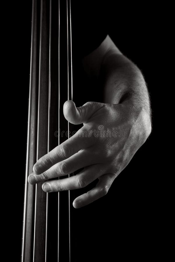 double bass photography