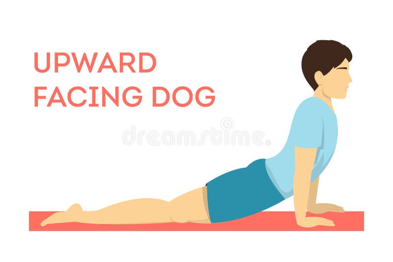 Upward-Facing Dog (Ūrdhva Mukha Śvānāsana)