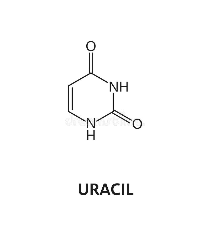 Uracil Nucleic Acid, Nitrogenous Base Formula Stock Vector