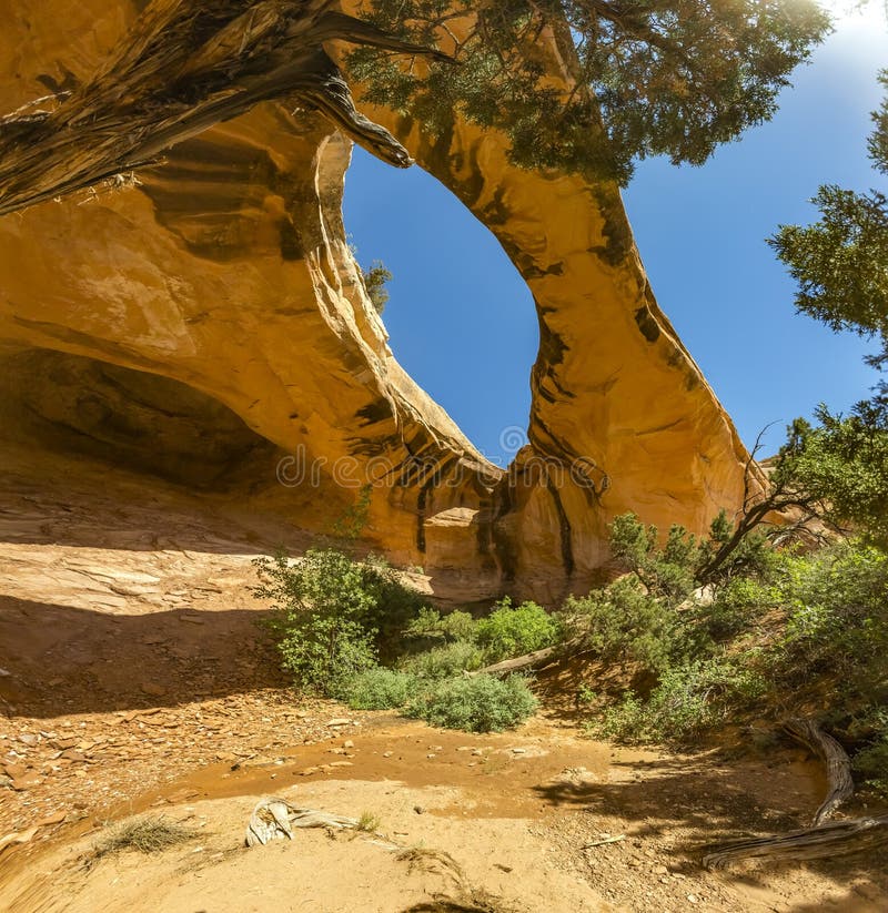 Uranium Arch in Moab, Utah. Square Composition with Distorting