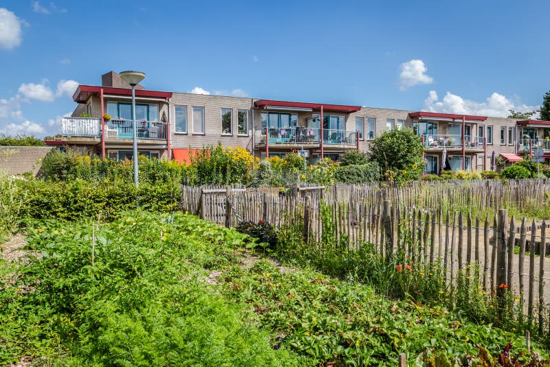 Urban agriculture: a vegetable garden beside an apartment building in the suburbs of a city