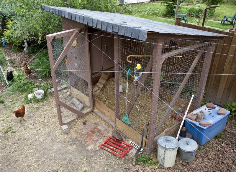 Urban Backyard Chicken Coop Stock Photo Image of coop, chicken 192793108