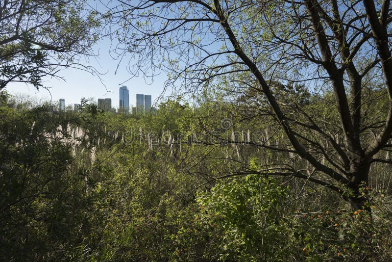 Edificios para ver ambiente de ecológico reservar, en,.