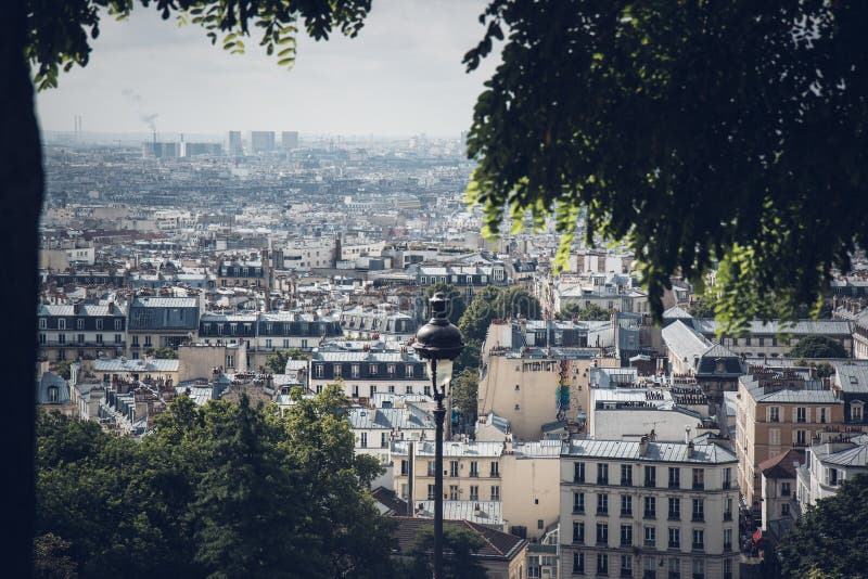 Urbano naturaleza través de la ciudad de París Francia pequeno Cerca sobre el.