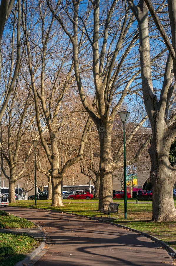 Urban park alley with bare leafless trees stock images Urban park alley with bare leafless trees stock images